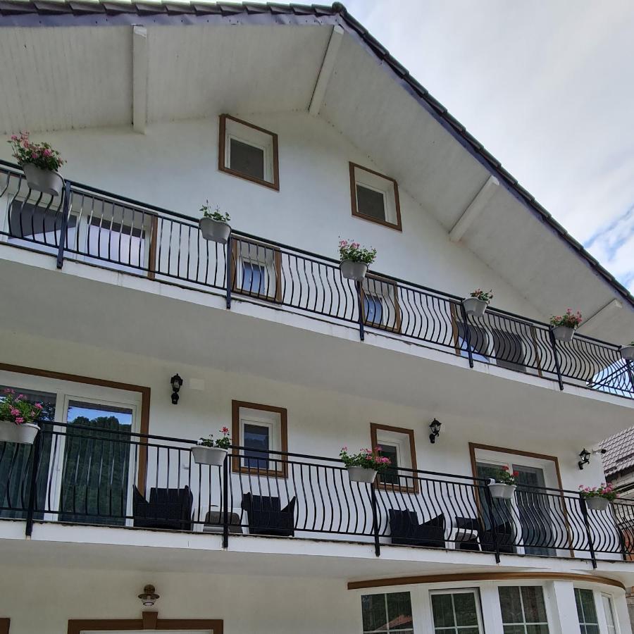 Casa Anne Ξενοδοχείο Băile Herculane Εξωτερικό φωτογραφία